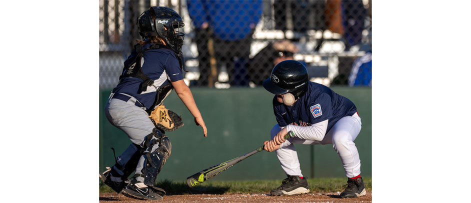 WASHINGTON LITTLE LEAGUE DISTRICT 6
