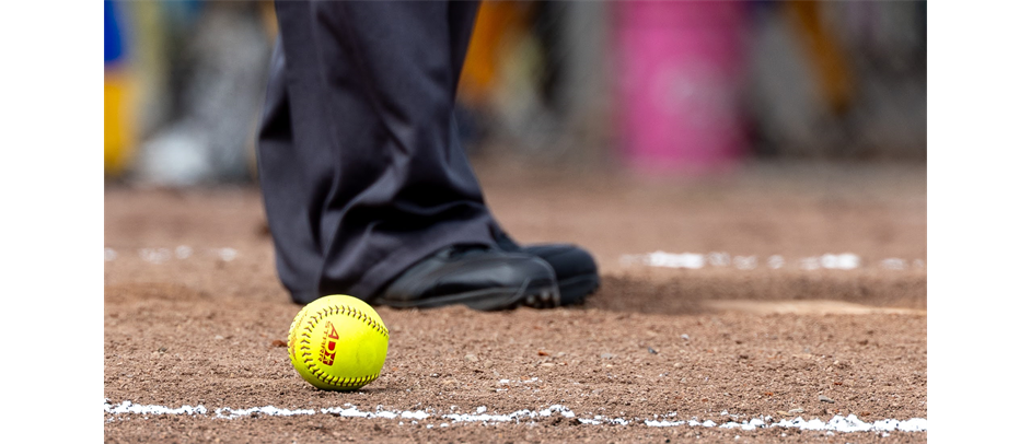 WASHINGTON LITTLE LEAGUE DISTRICT 6